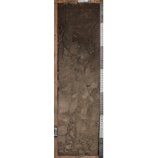 Темногумусовая солонцеватая Темногумусовая солонцеватая