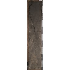 Лугово-черноземная осолоделая суглинистая Лугово-черноземная осолоделая суглинистая