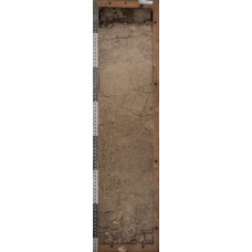 Светлозем Светлозем