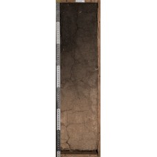 Темногумусовая гидрометаморфизованная Темногумусовая гидрометаморфизованная