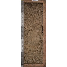 Бурозем Бурозем