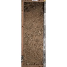 Бурозем Бурозем