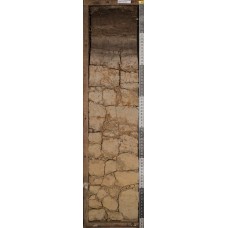 Перегнойно-глеевая аллювиальная Перегнойно-глеевая аллювиальная