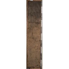 Темно-серая Темно-серая