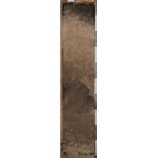 Светлозем иллювиально-железистый грубогумусированный криотурбированный Светлозем иллювиально-железистый грубогумусированный криотурбированный