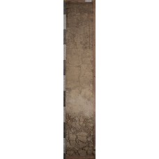 Серогумусовая на погребенном подбеле Серогумусовая на погребенном подбеле