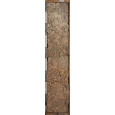 Поддубица Поддубица