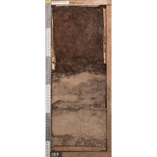 Торфяно-криозем Торфяно-криозем