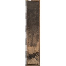 Агрочернозем миграционно-мицелярный Агрочернозем миграционно-мицелярный