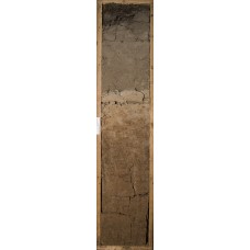 Агродерново-подзолистая реградированная Агродерново-подзолистая реградированная