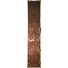 Бурозем остаточно-карбонатный Бурозем остаточно-карбонатный