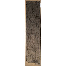 Чернозем сегрегационный Чернозем сегрегационный