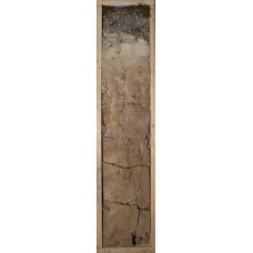 Дерново-элювиально метаморфическая глинисто-иллювиированная Дерново-элювиально метаморфическая глинисто-иллювиированная