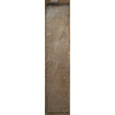 Подзолистая с микропрофилем подзола Подзолистая с микропрофилем подзола