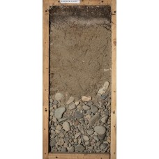 Псаммозем оподзоленный, подстилаемый галькой Псаммозем оподзоленный, подстилаемый галькой