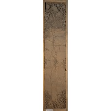 Агрозем альфегумусовый Агрозем альфегумусовый