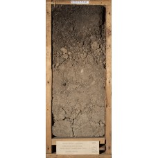 Дерновая грубогумусированная криометаморфическая