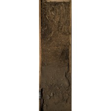 Торфяно-перегнойная Торфяно-перегнойная