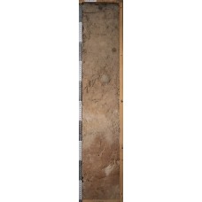 Дерново-элювозем палевый контактно-осветленный Дерново-элювозем палевый контактно-осветленный