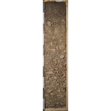 Бурозем Бурозем