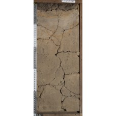 Глеезем криометаморфический криогенно-ожелезненный Глеезем криометаморфический криогенно-ожелезненный