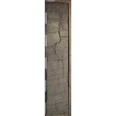 Дерново-элювозем глееватый глинисто-иллювиированный Дерново-элювозем глееватый глинисто-иллювиированный