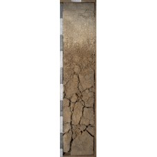 Дерново-подзолистая глееватая Дерново-подзолистая глееватая