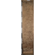 Ржавозем грубогумусовый Ржавозем грубогумусовый