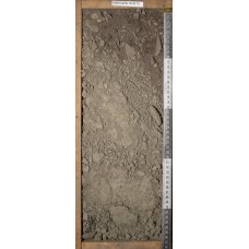 Серогумусовая Серогумусовая