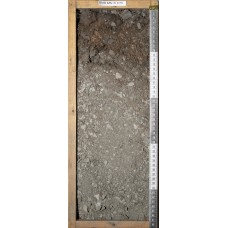 Грубогумусовая Грубогумусовая