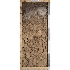 Подзол иллювиально-железистый Подзол иллювиально-железистый