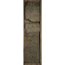 Глеезем. По Тонк. Аллювиальная глеевая (новый тип) Глеезем. По Тонк. Аллювиальная глеевая (новый тип)