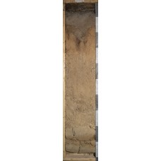 Подзол перегнойный языковатый Подзол перегнойный языковатый