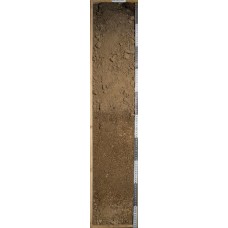 Серогумусовая грубогумусированная на элюво-деллювии габбро-диоритов Серогумусовая грубогумусированная на элюво-деллювии габбро-диоритов