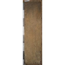 Агрозем иллювиально-железистый Агрозем иллювиально-железистый