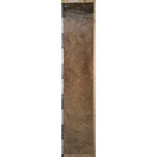 Подзол иллювиально-железистый глееватый Подзол иллювиально-железистый глееватый