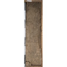 Агрокаштановая Агрокаштановая