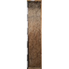 Дерново-подзолистая со вторым гумусовым горизонтом Дерново-подзолистая со вторым гумусовым горизонтом