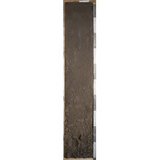 Чернозем солонцеватый Чернозем солонцеватый