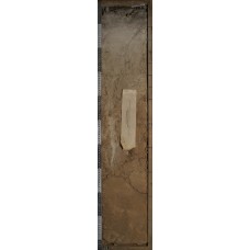 Дерново-элювозем глинисто-иллювиированный Дерново-элювозем глинисто-иллювиированный