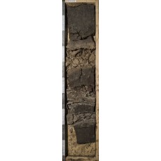 Торфяная эутрофная слоисто-аллювиальная Торфяная эутрофная слоисто-аллювиальная