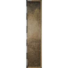 Дерново-элювозем Дерново-элювозем