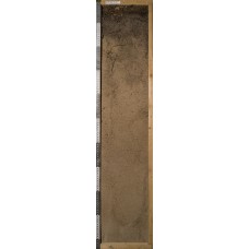 Серогумусовая грубогумусированная оподзоленная Серогумусовая грубогумусированная оподзоленная