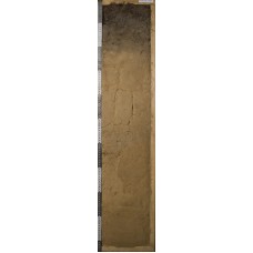 Серогумусовая иллювиально-ожелезненная оподзоленная Серогумусовая иллювиально-ожелезненная оподзоленная