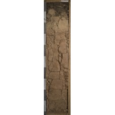 Текстурно-метаморфическая Текстурно-метаморфическая