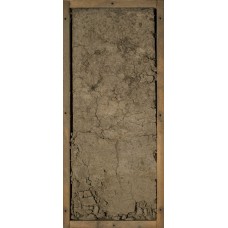 Глеезем криометаморфический аллювиальный Глеезем криометаморфический аллювиальный