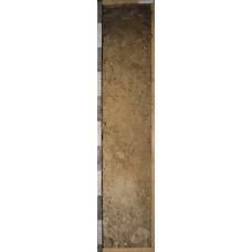 Серогумусовая грубогумусированная железисто-метаморфическая Серогумусовая грубогумусированная железисто-метаморфическая