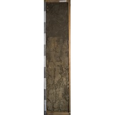 Агрочернозем миграционно-мицелярный Агрочернозем миграционно-мицелярный