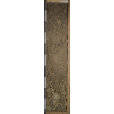 Бурозем Бурозем