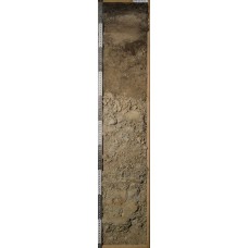 Подзол Подзол